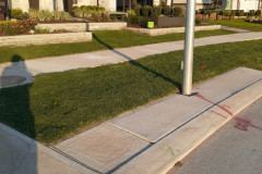 Lawn restored using polurethane foam